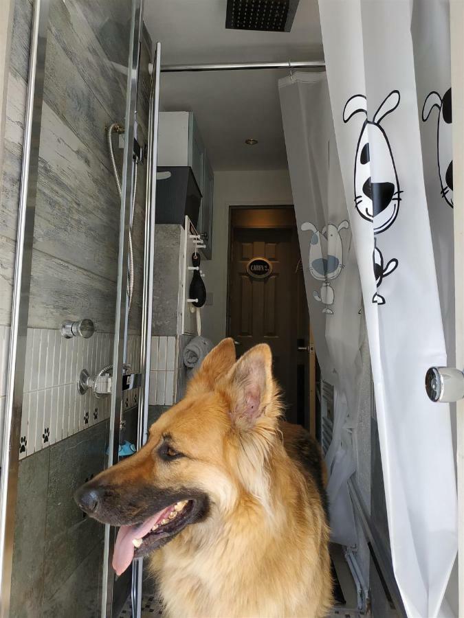 Dog Friendly Nancecliff Cottages Лу Екстериор снимка
