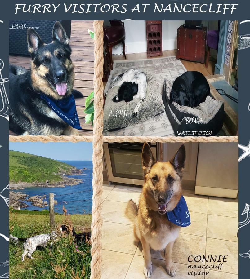 Dog Friendly Nancecliff Cottages Лу Екстериор снимка